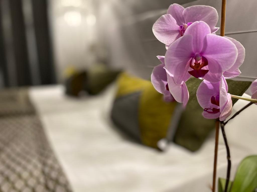 Brit Hotel Acacias อาร์ลส์ ภายนอก รูปภาพ